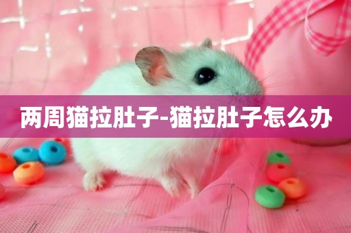 兩周貓拉肚子-貓拉肚子怎么辦