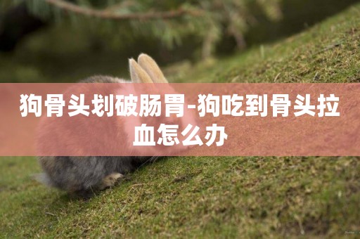 狗骨頭劃破腸胃-狗吃到骨頭拉血怎么辦