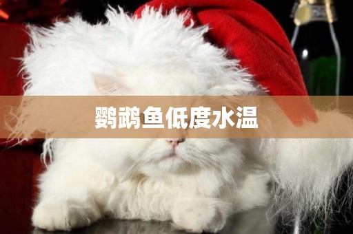 鸚鵡魚低度水溫