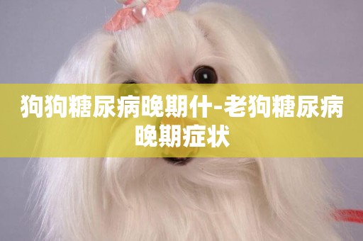 狗狗糖尿病晚期什-老狗糖尿病晚期癥狀
