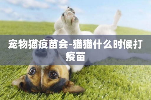 寵物貓疫苗會-貓貓什么時候打疫苗
