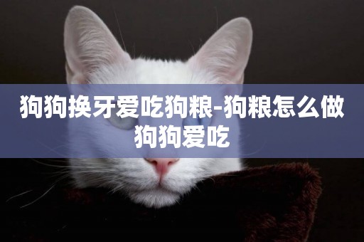 狗狗換牙愛吃狗糧-狗糧怎么做狗狗愛吃