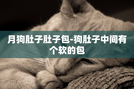 月狗肚子肚子包-狗肚子中間有個軟的包