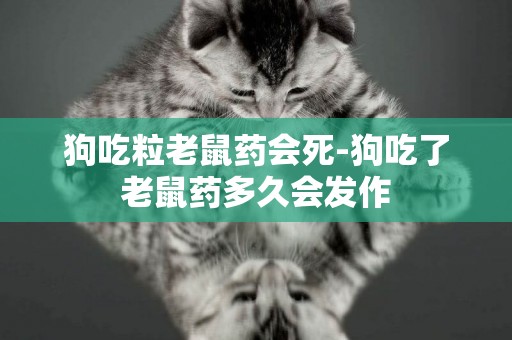狗吃粒老鼠藥會死-狗吃了老鼠藥多久會發作