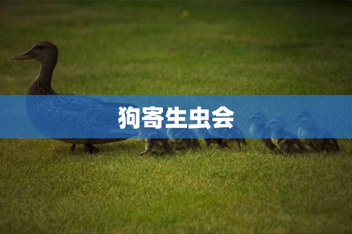 狗寄生蟲會
