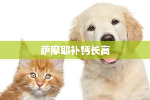 薩摩耶補鈣長高