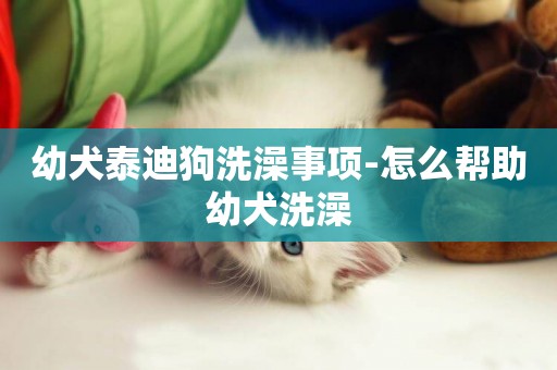 幼犬泰迪狗洗澡事項-怎么幫助幼犬洗澡