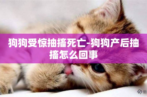 狗狗受驚抽搐死亡-狗狗產后抽搐怎么回事