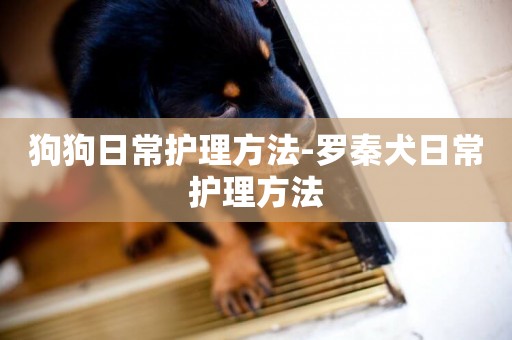 狗狗日常護理方法-羅秦犬日常護理方法