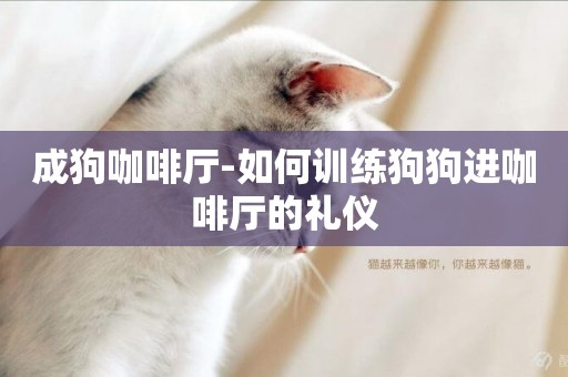 成狗咖啡廳-如何訓練狗狗進咖啡廳的禮儀