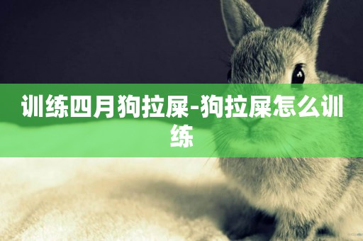 訓練四月狗拉屎-狗拉屎怎么訓練
