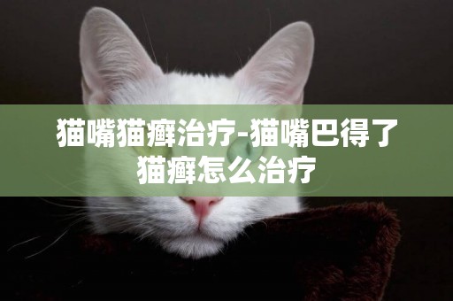 貓嘴貓癬治療-貓嘴巴得了貓癬怎么治療