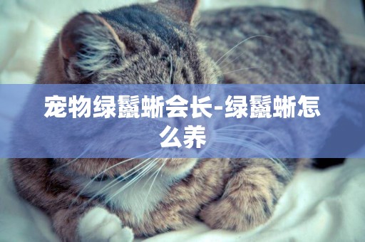 寵物綠鬣蜥會長-綠鬣蜥怎么養
