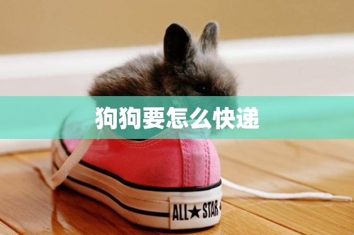 狗狗要怎么快遞