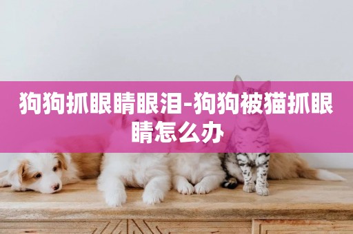 狗狗抓眼睛眼淚-狗狗被貓抓眼睛怎么辦