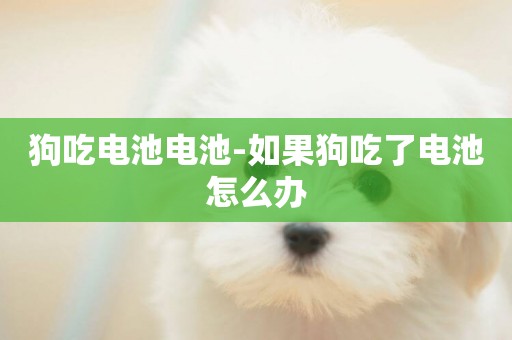 狗吃電池電池-如果狗吃了電池怎么辦