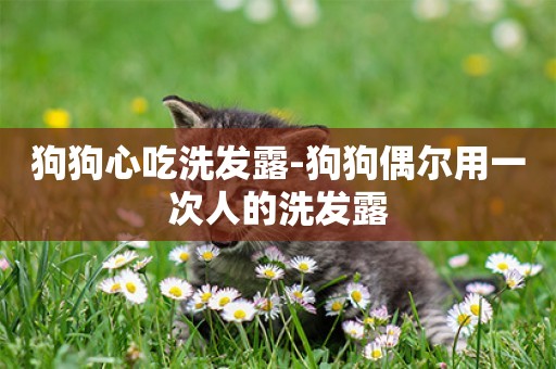 狗狗心吃洗發露-狗狗偶爾用一次人的洗發露