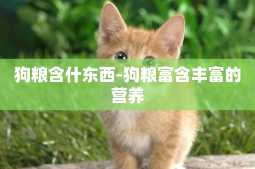 狗糧含什東西-狗糧富含豐富的營養