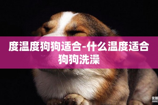 度溫度狗狗適合-什么溫度適合狗狗洗澡