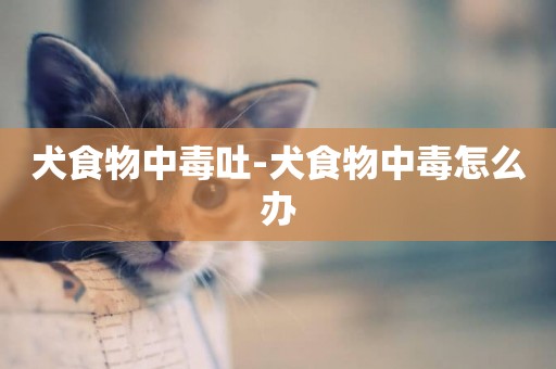犬食物中毒吐-犬食物中毒怎么辦
