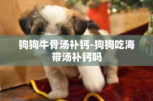 狗狗牛骨湯補鈣-狗狗吃海帶湯補鈣嗎