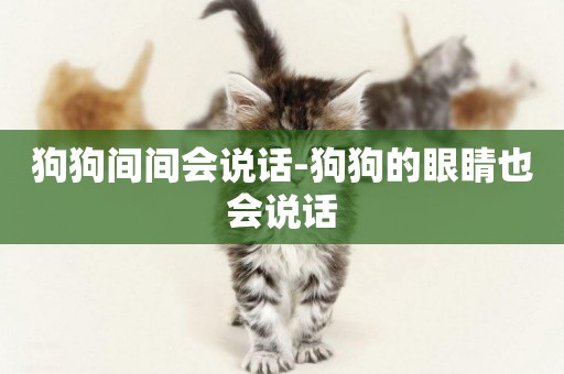 狗狗間間會說話-狗狗的眼睛也會說話