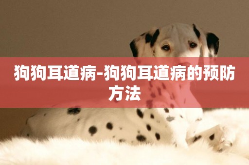 狗狗耳道病-狗狗耳道病的預防方法