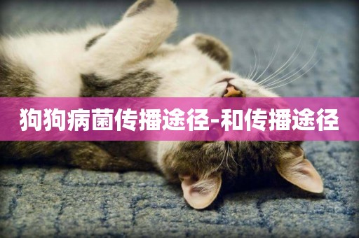 狗狗病菌傳播途徑-和傳播途徑