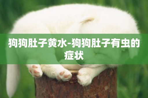 狗狗肚子黃水-狗狗肚子有蟲的癥狀