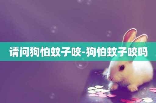 請問狗怕蚊子咬-狗怕蚊子咬嗎