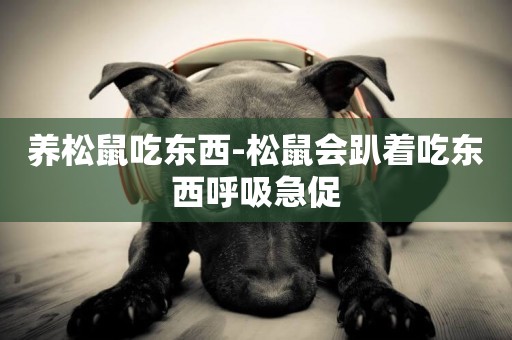 養松鼠吃東西-松鼠會趴著吃東西呼吸急促
