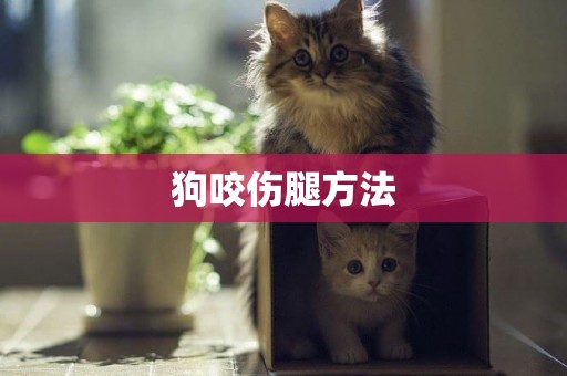 狗咬傷腿方法