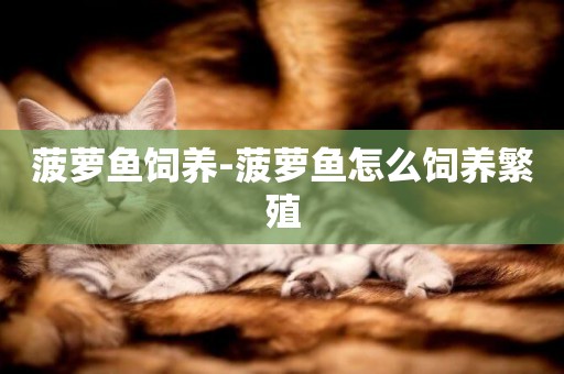 菠蘿魚飼養-菠蘿魚怎么飼養繁殖
