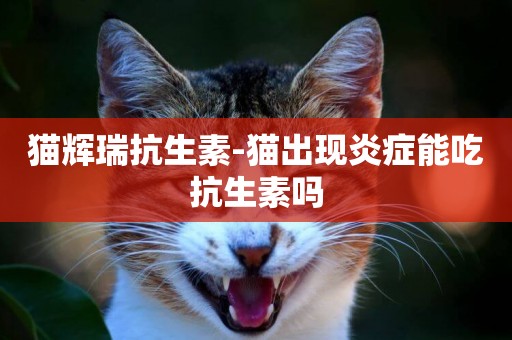 貓輝瑞抗生素-貓出現炎癥能吃抗生素嗎