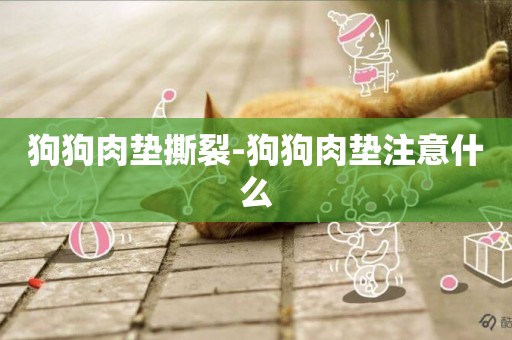 狗狗肉墊撕裂-狗狗肉墊注意什么
