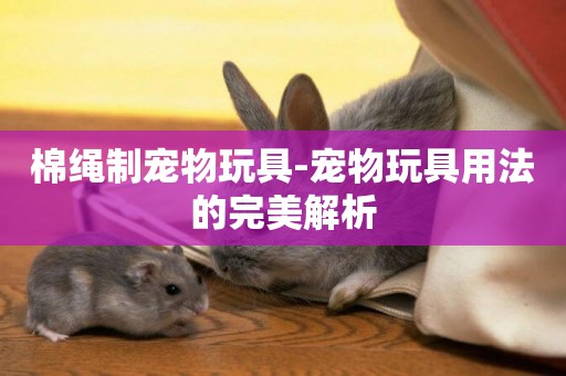 棉繩制寵物玩具-寵物玩具用法的完美解析