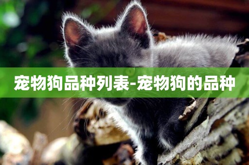 寵物狗品種列表-寵物狗的品種