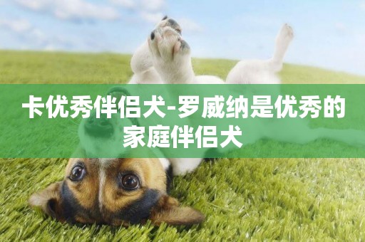 卡優秀伴侶犬-羅威納是優秀的家庭伴侶犬