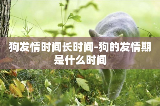 狗發情時間長時間-狗的發情期是什么時間