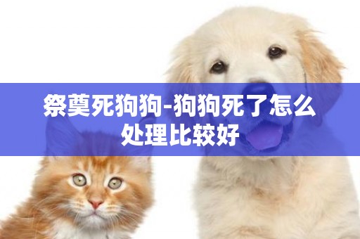 祭奠死狗狗-狗狗死了怎么處理比較好