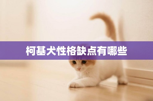 柯基犬性格缺點有哪些