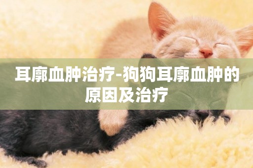 耳廓血腫治療-狗狗耳廓血腫的原因及治療