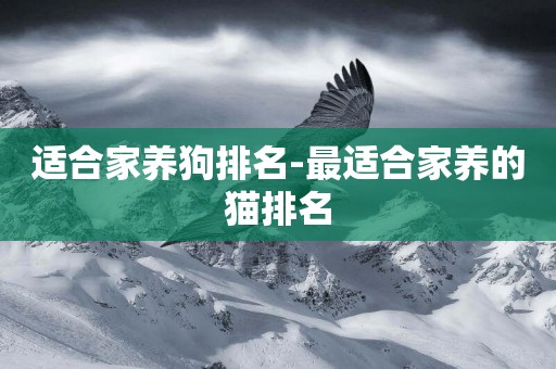 適合家養狗排名-最適合家養的貓排名
