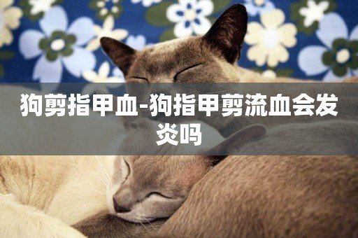 狗剪指甲血-狗指甲剪流血會發炎嗎