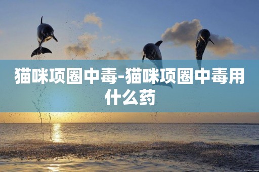 貓咪項圈中毒-貓咪項圈中毒用什么藥