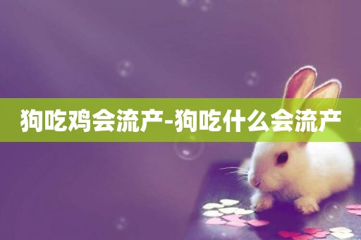 狗吃雞會流產-狗吃什么會流產