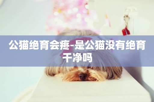 公貓絕育會疼-是公貓沒有絕育干凈嗎