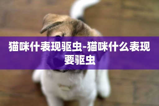 貓咪什表現驅蟲-貓咪什么表現要驅蟲