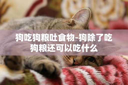 狗吃狗糧吐食物-狗除了吃狗糧還可以吃什么