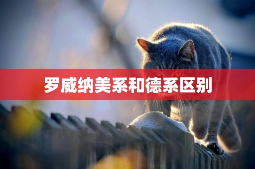羅威納美系和德系區別